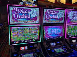 Tabel pembayaran Buffalo King yang menampilkan nilai simbol dan bonus feature